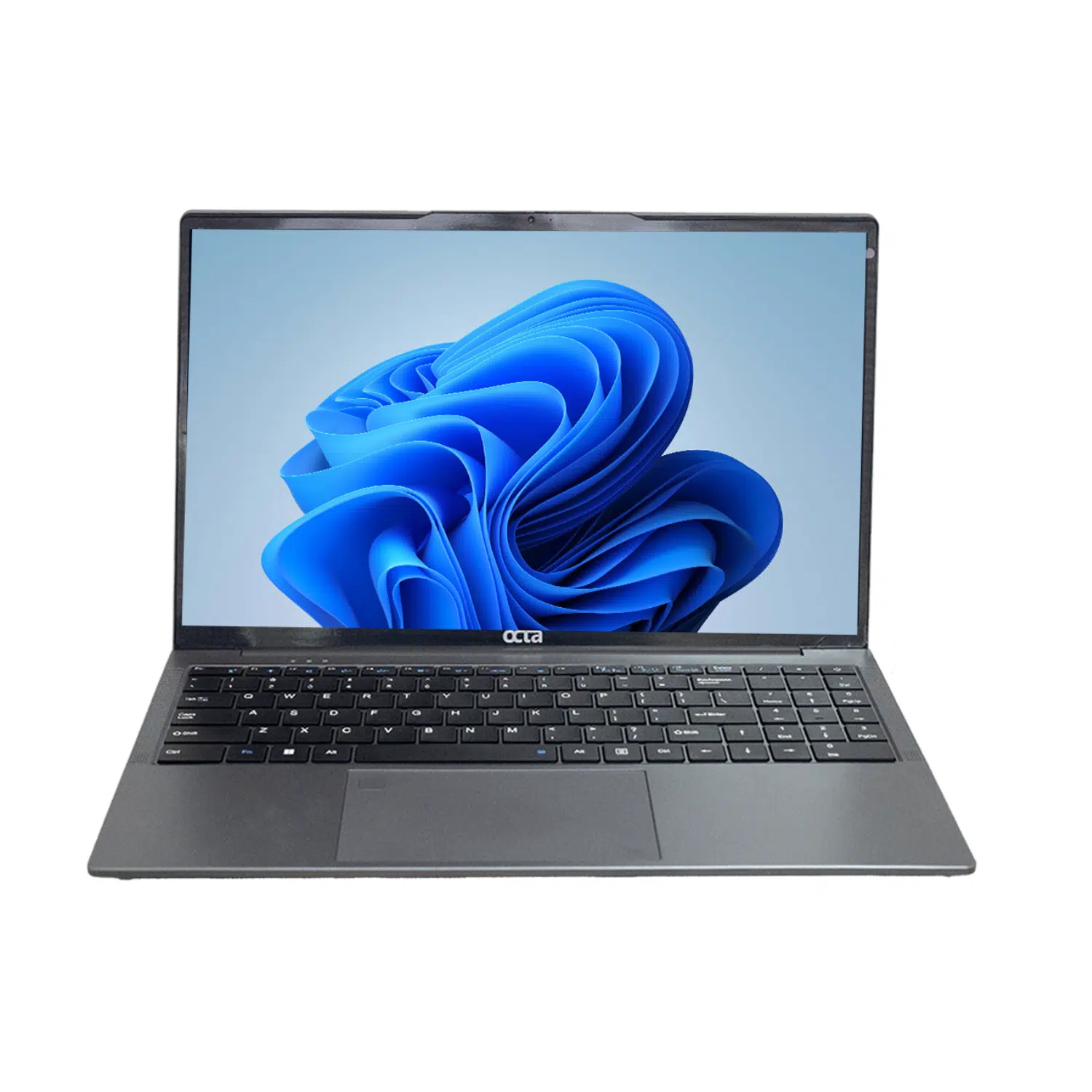Entry Level OCTA X15AL Notebook